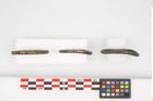 Foto von Bronzering (NHMW-PRAE-025511)